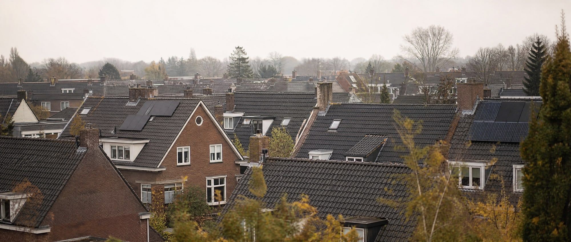 Daken van een Nederlandse woonwijk